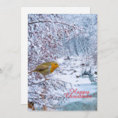 Cartes Pour Fêtes Annuelles Le Robin (Devant / Derrière)