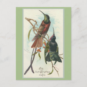 Cartes Pour Fêtes Annuelles Le Roi vintage Humming Birds de Noël