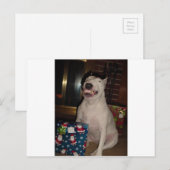 Cartes Pour Fêtes Annuelles le sourire de noël bull terrier (Devant / Derrière)