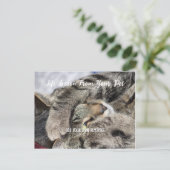 Cartes Pour Fêtes Annuelles Leçon sur la vie des animaux de compagnie personna (Debout devant)