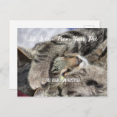 Cartes Pour Fêtes Annuelles Leçon sur la vie des animaux de compagnie personna (Devant / Derrière)