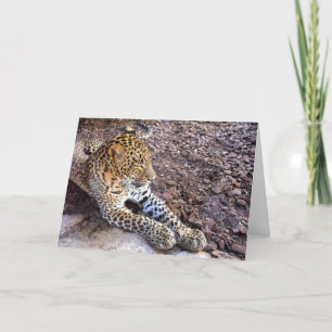 Cartes Pour Fêtes Annuelles Leopard au repos
