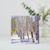 Cartes Pour Fêtes Annuelles Les arbres d'Aspen dans la forêt (Debout devant)