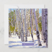 Cartes Pour Fêtes Annuelles Les arbres d'Aspen dans la forêt (Devant)