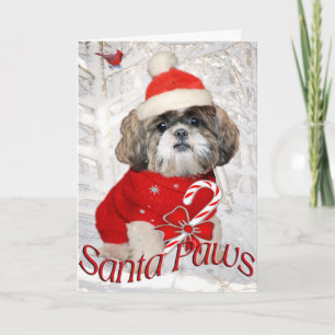 Cartes Pour Fêtes Annuelles Les Cards de Shih Tzu