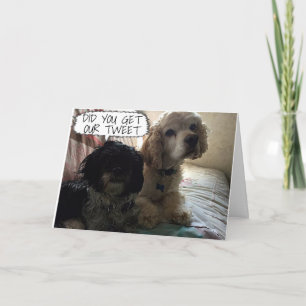 CARTES POUR FÊTES ANNUELLES LES CHIENS ESPÈRENT QUE VOUS AUREZ UN **NOËL À TWE
