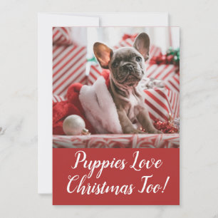 Cartes Pour Fêtes Annuelles Les chiots aiment Noël Bouledogue français