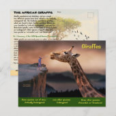 Cartes Pour Fêtes Annuelles Les espèces de girafe sont maintenant en danger - (Devant / Derrière)