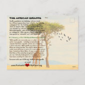 Cartes Pour Fêtes Annuelles Les espèces de girafe sont maintenant en danger - (Dos)