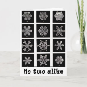 Cartes Pour Fêtes Annuelles Les flocons de neige de Wilson Bentley, 1902