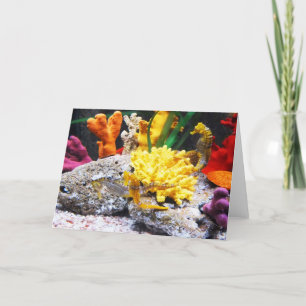 Cartes Pour Fêtes Annuelles Les hippocampes