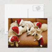 Cartes Pour Fêtes Annuelles Les jours de Noël des chiens (Devant / Derrière)