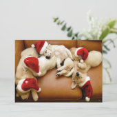 Cartes Pour Fêtes Annuelles Les jours de Noël des chiens (Debout devant)