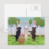 Cartes Pour Fêtes Annuelles Les lapins de Pâques du Labrador! ! (Devant / Derrière)
