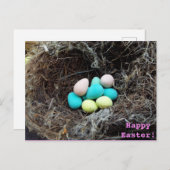 Cartes Pour Fêtes Annuelles Les oeufs de pâques en pastel dans le nid du vrai (Devant / Derrière)