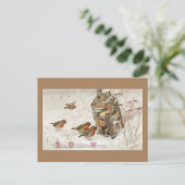 Cartes Pour Fêtes Annuelles Les oiseaux trouvent refuge dans Lantern Noël Vint (Debout devant)