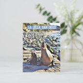 Cartes Pour Fêtes Annuelles Les phoques de La Jolla (Debout devant)