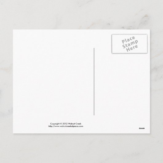 Cartes Pour Fêtes Annuelles Les postcards d'Alpaca (Dos)