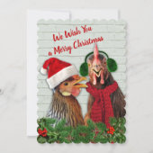 Cartes Pour Fêtes Annuelles Les Poulets Vous Souhaitent Un Joyeux Noël (Devant)
