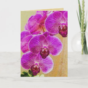 Cartes Pour Fêtes Annuelles Les promesses orchidées peuvent être personnalisée