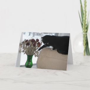 Cartes Pour Fêtes Annuelles Les roses et le chat