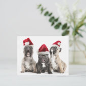 Cartes Pour Fêtes Annuelles Les Saints-Hats (Debout devant)