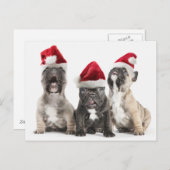 Cartes Pour Fêtes Annuelles Les Saints-Hats (Devant / Derrière)