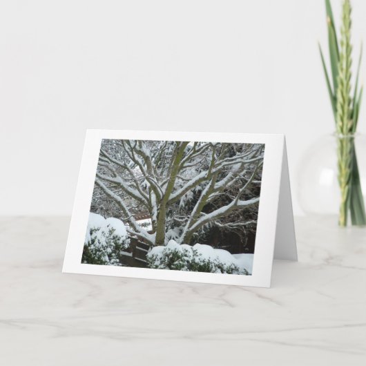 Cartes Pour Fêtes Annuelles "Les vacances chaudes souhaitent " (Devant)