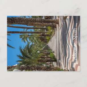 Cartes Pour Fêtes Annuelles L'Esplanade, Alicante, Espagne