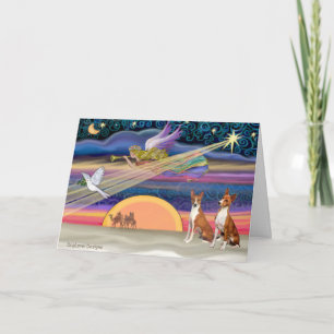 Cartes Pour Fêtes Annuelles L'Étoile de Noël - Basenjis (deux)