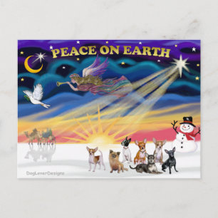 Cartes Pour Fêtes Annuelles Lever de soleil de Noël - Tchiouahuas (sept)