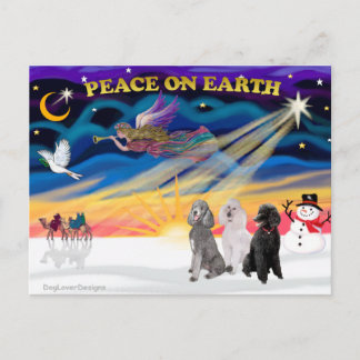 Cartes Pour Fêtes Annuelles Lever de soleil de Noël - Trois caniches standards
