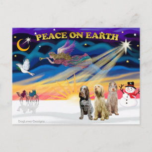 Cartes Pour Fêtes Annuelles Lever de soleil de Noël - Trois Spinones italienne