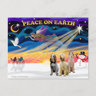 Cartes Pour Fêtes Annuelles Lever de soleil de Noël - Trois Spinones italienne