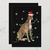 Cartes Pour Fêtes Annuelles lévrier lumière de noël joli père noël lévrier (Devant / Derrière)