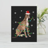 Cartes Pour Fêtes Annuelles lévrier lumière de noël joli père noël lévrier (Debout devant)