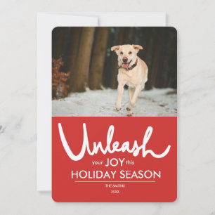 Cartes Pour Fêtes Annuelles Libérer   Funny Dog Photo Holiday