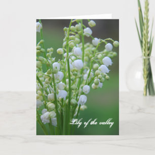 Cartes Pour Fêtes Annuelles Lily de la vallée