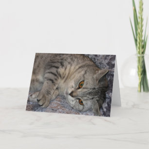 Cartes Pour Fêtes Annuelles Linnea Cat quote card
