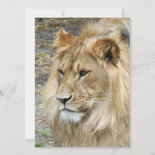 Cartes Pour Fêtes Annuelles Lion 011