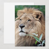 Cartes Pour Fêtes Annuelles Lion 021 (Devant / Derrière)