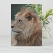 Cartes Pour Fêtes Annuelles Lion 035 (Debout devant)