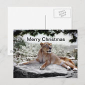 Cartes Pour Fêtes Annuelles Lion à Noël (Devant / Derrière)