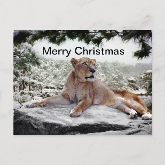 Cartes Pour Fêtes Annuelles Lion à Noël (Devant)