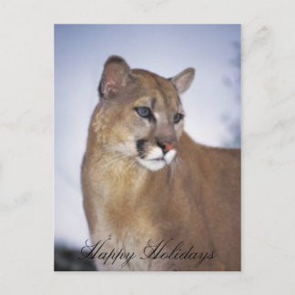 Cartes Pour Fêtes Annuelles lioness2, Joyeuses fêtes