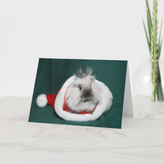 Cartes Pour Fêtes Annuelles Lionhead Bunny Père Noël