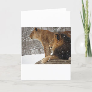 Cartes Pour Fêtes Annuelles Lions