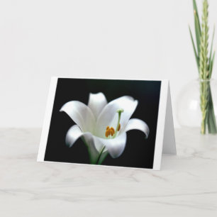 Cartes Pour Fêtes Annuelles Lis de Pâques