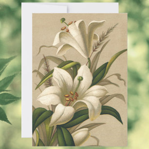 Cartes Pour Fêtes Annuelles Lis de Pâques vintage, fleurs victoriennes en fleu