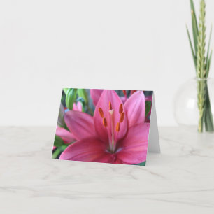 Cartes Pour Fêtes Annuelles Lis Stargazer rose dans le jardin